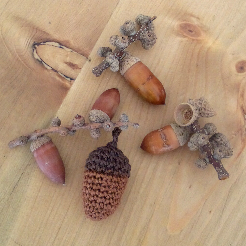 かぎ針編み 無料編み図_どんぐり