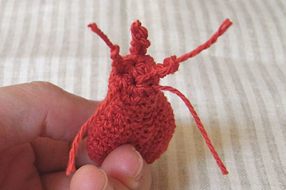 ⑧えびの顔を正面から見たところ