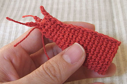 ⑨えびの頭を横から見たところ