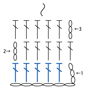 かぎ針編み 長編みの往復編み1段目