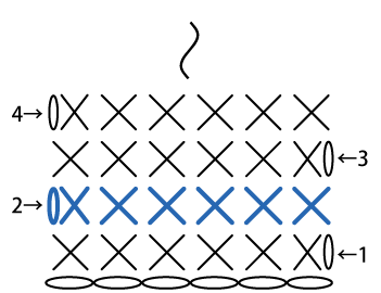 かぎ針編み こま編みの往復編み2段目