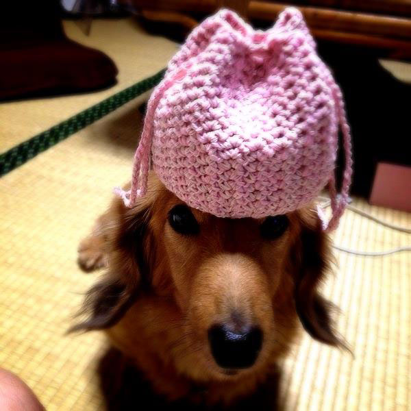 めぐりんごさんの「丸ころちゃん巾着」