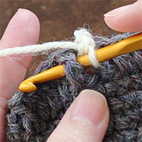 こま編み表引き上げ編み[1] 前段の目を横からまるごとすくいます。