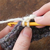 中長編み[2] 前段の目に針を入れます。