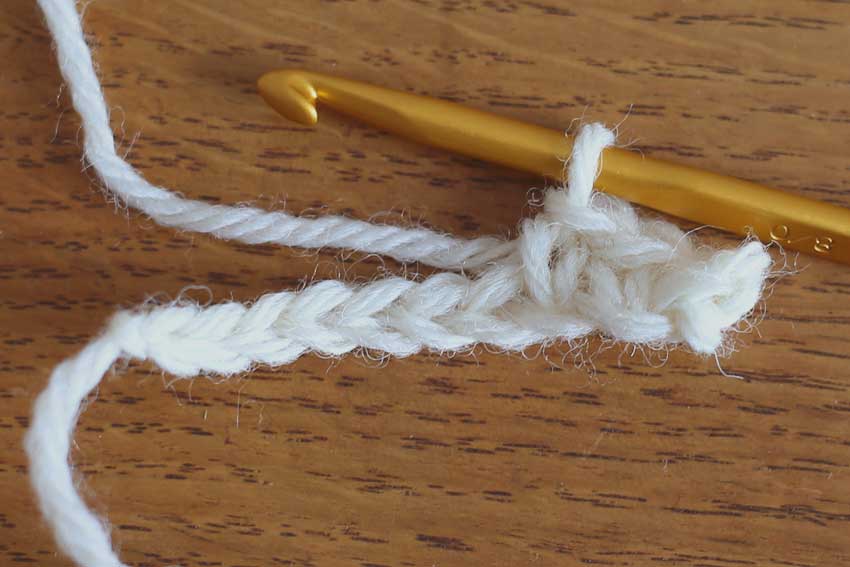 くさりの向こう側1本と裏山を拾って編みます