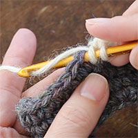 中長編み2目一度[2] 前段の目に針を入れます。