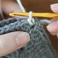 全目の引き抜きはぎ[3]引き抜いたところ