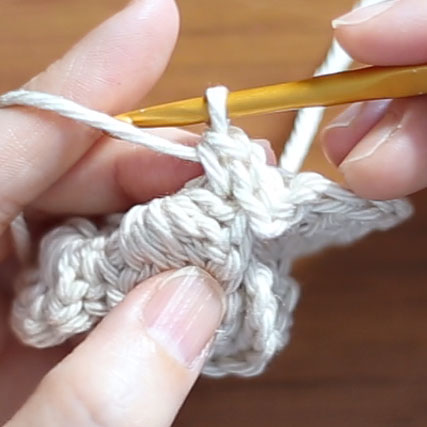 かぎ針編み お花5段目 3. こま編みが編めた