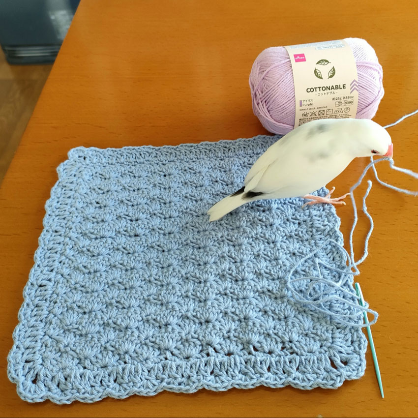 まろたんさんの「ていねいに編むハンカチ」かぎ針編み 作品